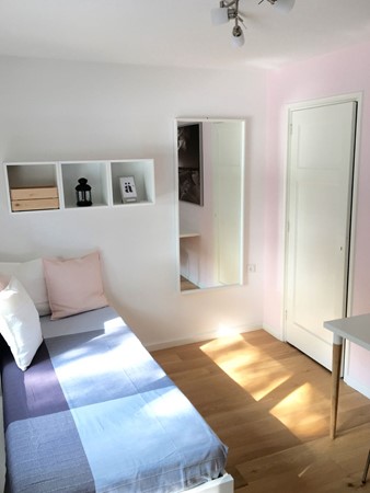 Nassaulaan 30 - 2 (2).jpg